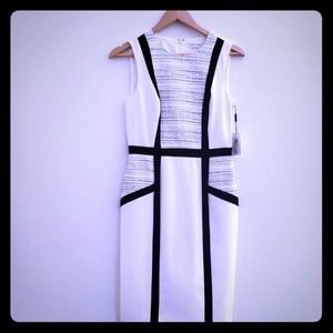 White with black Calvin Klein dresses